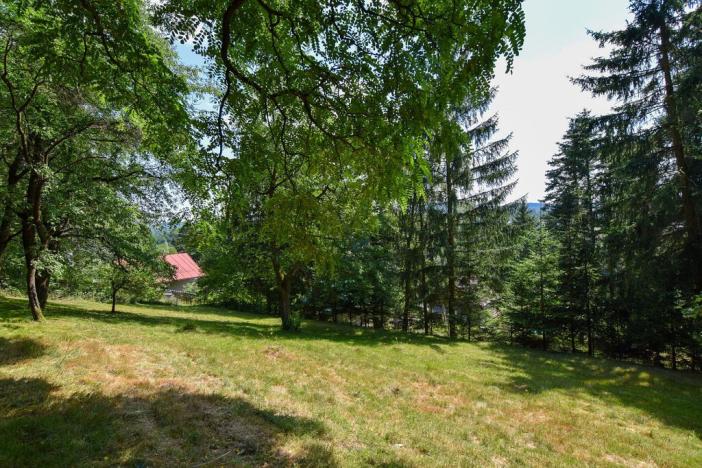 Prodej zahrady, Stříbrná Skalice, osada Spálený, 1015 m2