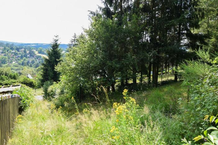 Prodej zahrady, Stříbrná Skalice, osada Spálený, 1015 m2