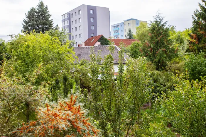 Pronájem bytu 2+kk, Nové Město na Moravě, Drobného, 56 m2