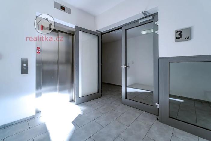 Prodej bytu 2+kk, Praha - Žižkov, Havlíčkovo náměstí, 60 m2