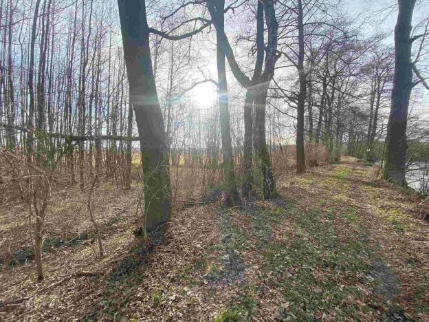 Prodej pozemku, Trstěnice, 1109 m2