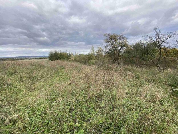 Prodej pozemku, Javorník - Horní Hoštice, 1691 m2