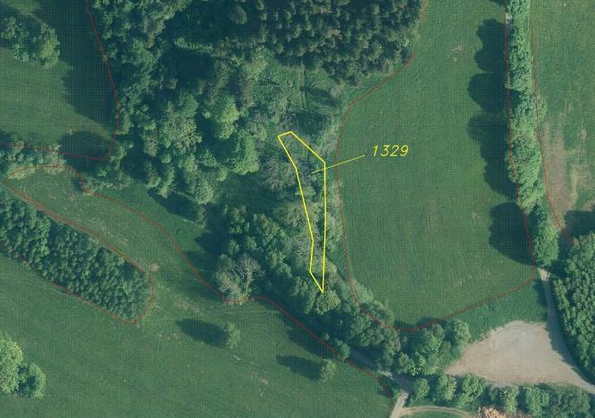 Prodej pozemku, Čachrov - Javorná, 12768 m2