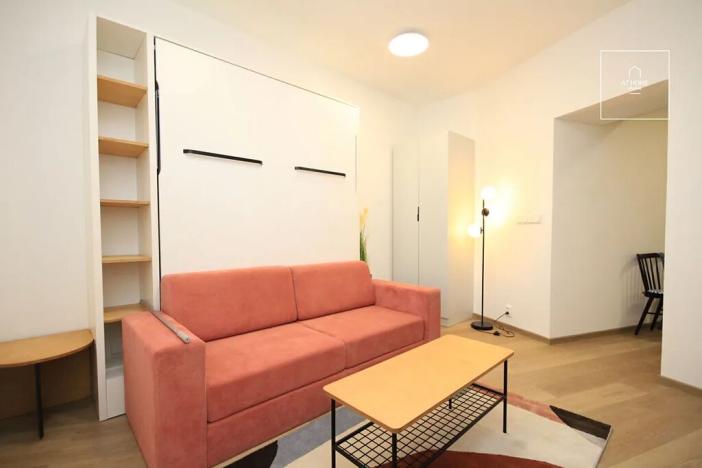 Pronájem bytu 1+1, Praha - Žižkov, Milíčova, 33 m2