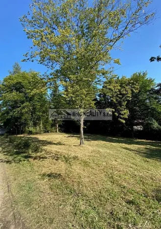 Prodej louky, Křečovice, 1273 m2