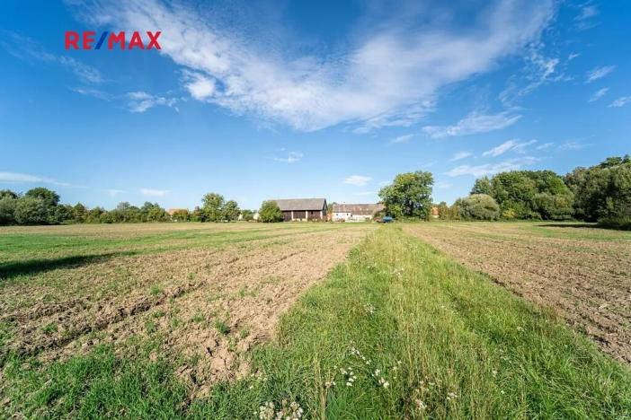 Prodej zemědělské usedlosti, Vrdy, Jiráskova, 363 m2