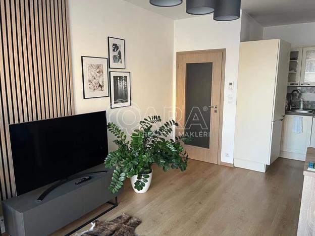 Pronájem bytu 2+kk, Praha - Hostivař, Rižská, 54 m2