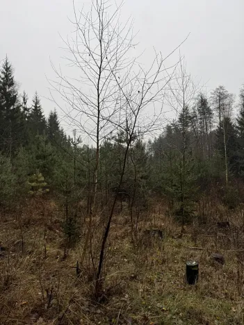 Prodej pozemku, Veliny, 50855 m2