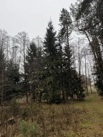 Prodej pozemku, Veliny, 50855 m2