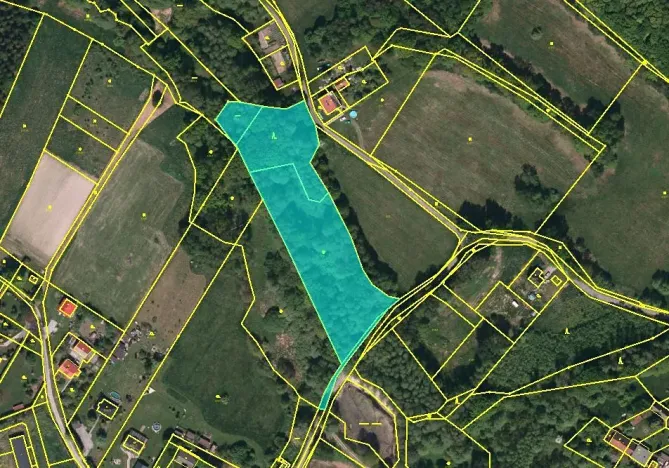 Dražba lesa, Petrovice u Karviné, 14718 m2