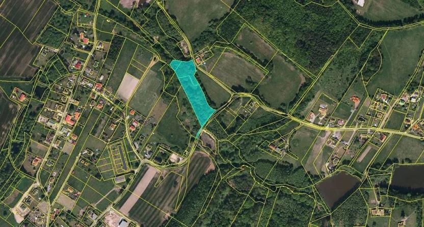 Dražba lesa, Petrovice u Karviné, 14718 m2