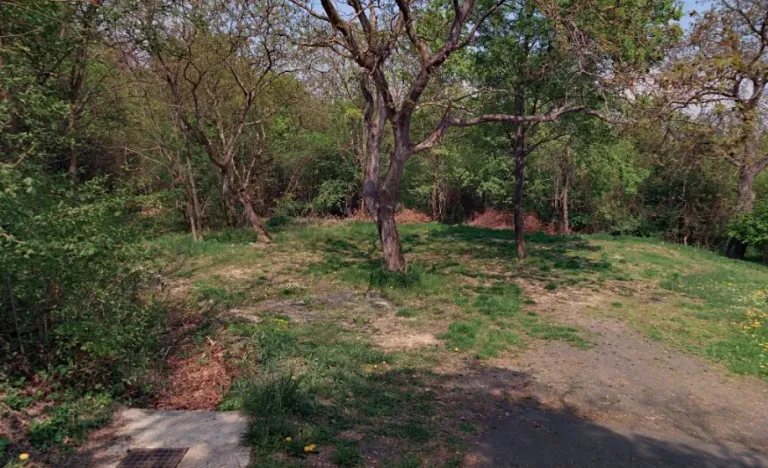 Pronájem zahrady, Horní Beřkovice, 550 m2