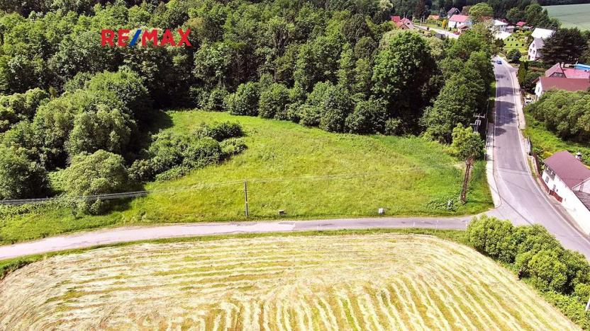 Prodej pozemku pro bydlení, Nový Bor, 2529 m2