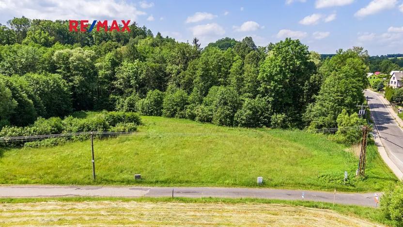 Prodej pozemku pro bydlení, Nový Bor, 2529 m2