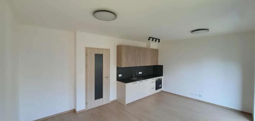 Pronájem bytu 1+kk, Praha - Chodov, Šternovská, 41 m2