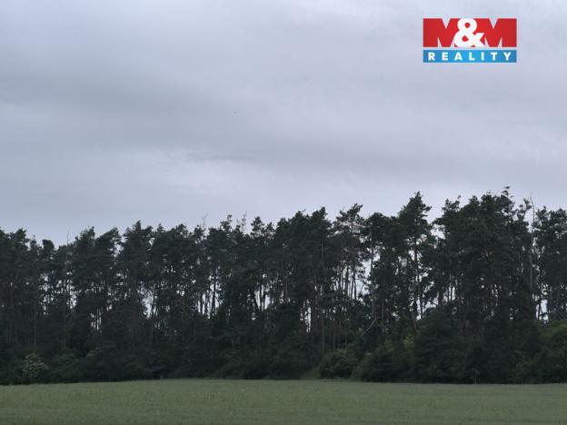 Prodej lesa, Střelské Hoštice - Kozlov, 20128 m2