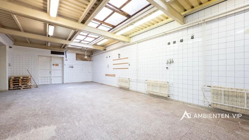 Prodej obchodního prostoru, Újezd u Brna, Nádražní, 901 m2