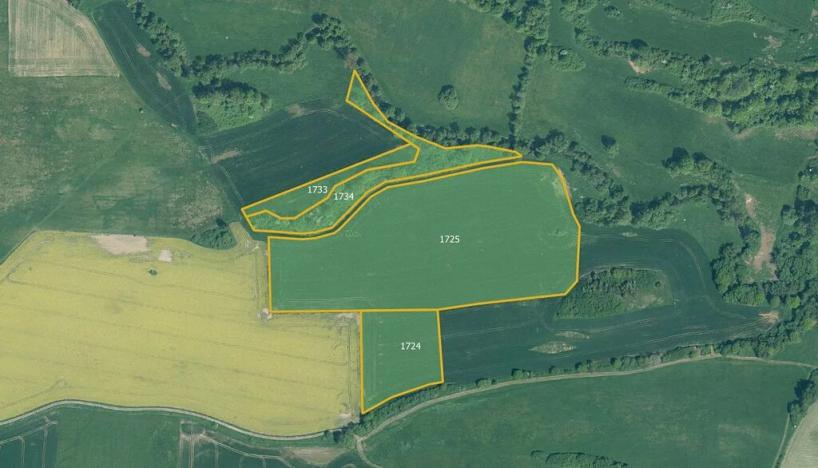 Prodej pole, Mirotice, 80693 m2