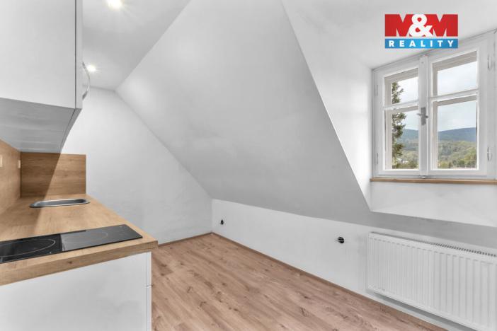 Prodej ubytování, Rokytnice nad Jizerou - Horní Rokytnice, 440 m2