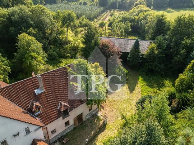 Prodej vícegeneračního domu, Deštnice, 530 m2