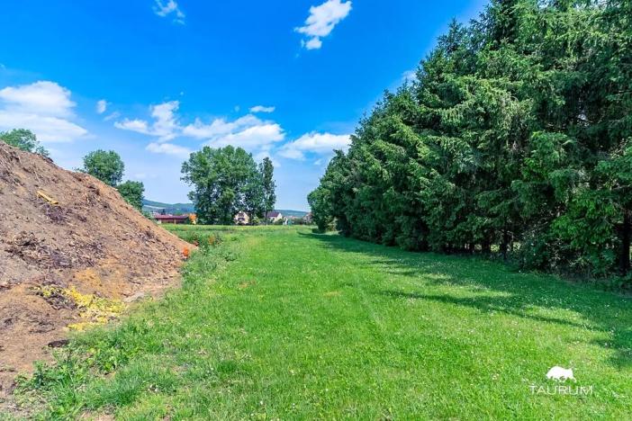 Prodej pozemku pro bydlení, Chodouň, 13216 m2