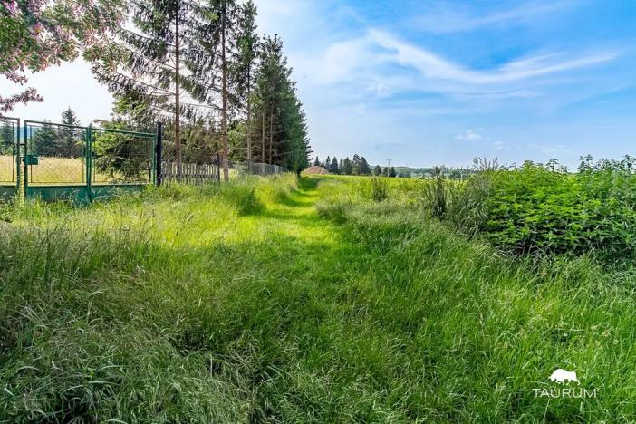 Prodej pozemku pro bydlení, Chodouň, 6455 m2