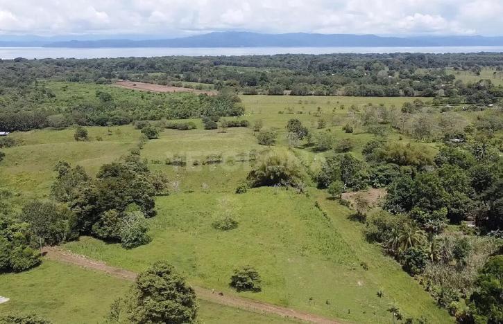 Prodej pozemku pro bydlení, Puerto Jiménez, Kostarika, Calle Los Pollos, 8924 m2