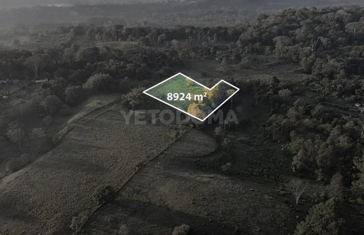 Prodej pozemku pro bydlení, Puerto Jiménez, Kostarika, Calle Los Pollos, 8924 m2