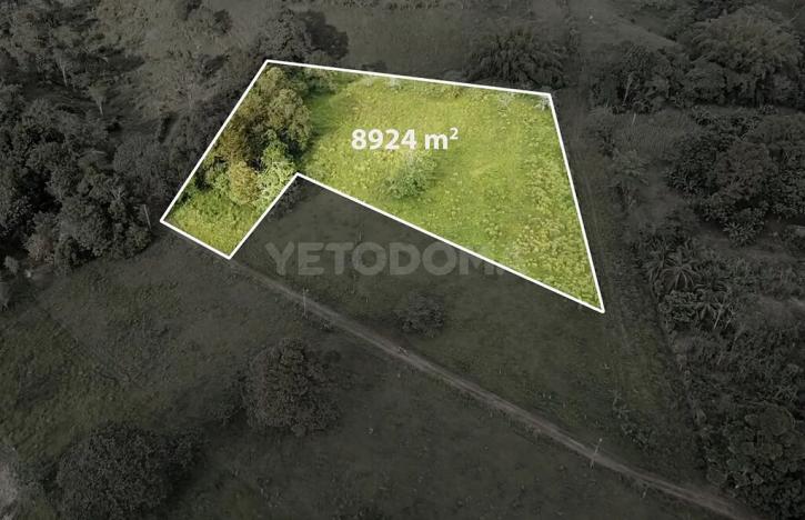 Prodej pozemku pro bydlení, Puerto Jiménez, Kostarika, Calle Los Pollos, 8924 m2