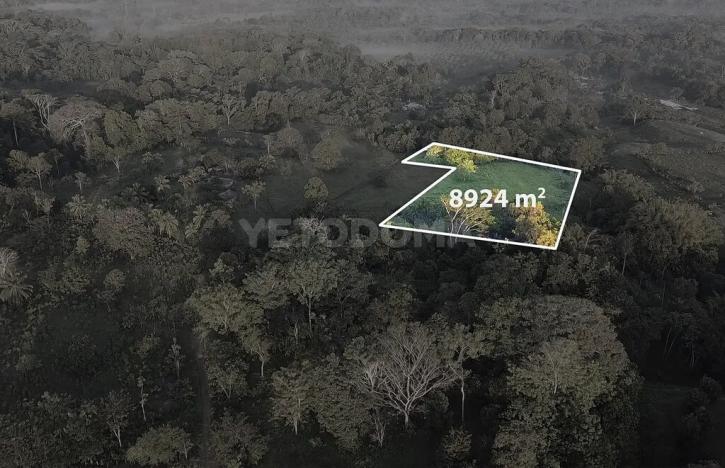 Prodej pozemku pro bydlení, Puerto Jiménez, Kostarika, Calle Los Pollos, 8924 m2