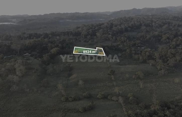 Prodej pozemku pro bydlení, Puerto Jiménez, Kostarika, Calle Los Pollos, 8924 m2