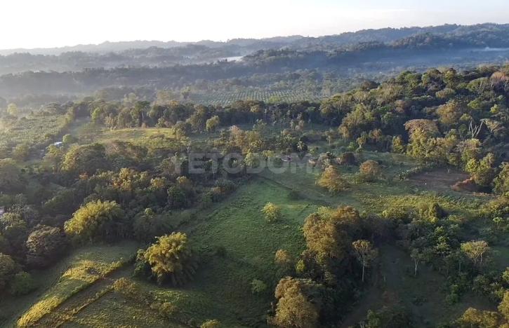 Prodej pozemku pro bydlení, Puerto Jiménez, Kostarika, Calle Los Pollos, 8924 m2