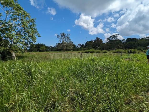 Prodej pozemku pro bydlení, Puerto Jiménez, Kostarika, Calle Los Pollos, 8924 m2