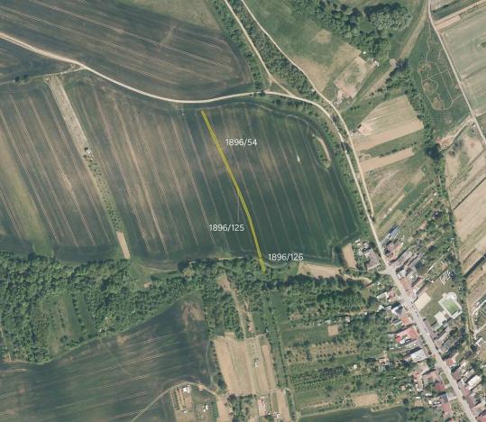 Prodej pole, Jalubí, 3737 m2