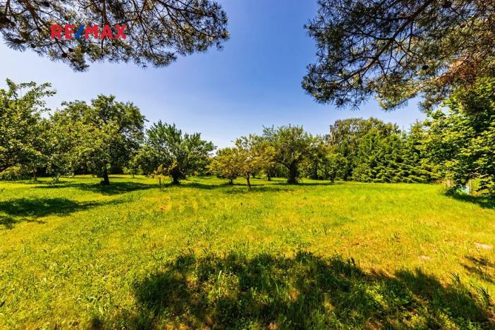 Prodej chalupy, Medový Újezd, 218 m2