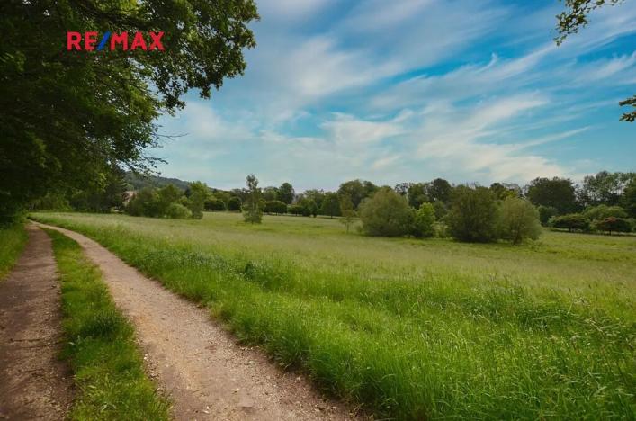 Prodej zahrady, Lázně Kynžvart, 7221 m2