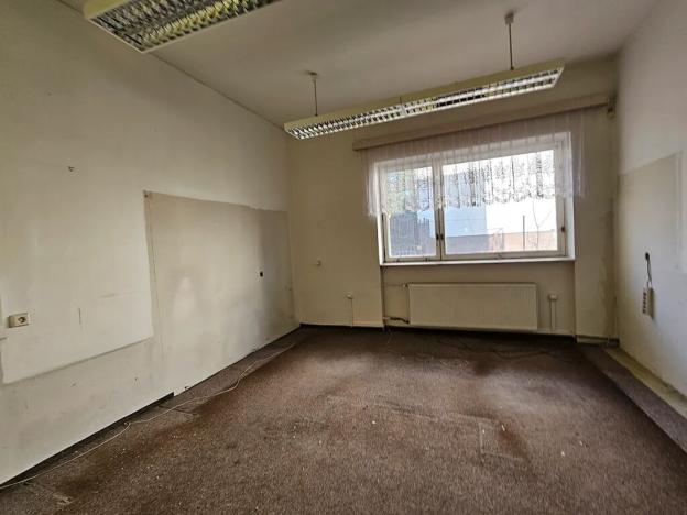 Dražba rodinného domu, Brno, Lipová, 696 m2