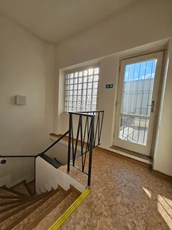 Dražba rodinného domu, Brno, Lipová, 696 m2