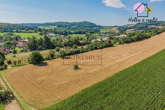 Prodej pozemku pro bydlení, Krňany, 7412 m2