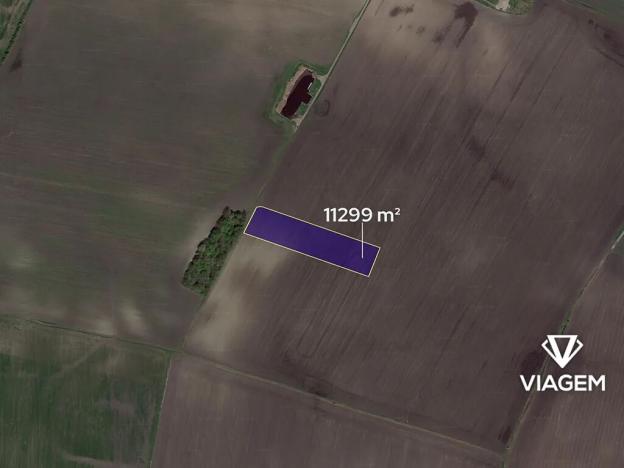 Prodej podílu pole, Záhornice, 403 m2