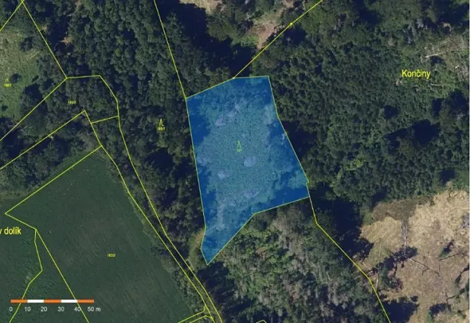 Prodej lesa, Podmoklany, 4845 m2