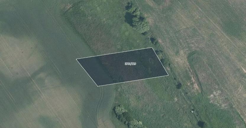 Prodej pole, Trstěnice, 4160 m2