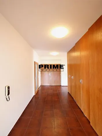 Pronájem bytu 6+kk a větší, Praha - Braník, Psohlavců, 293 m2