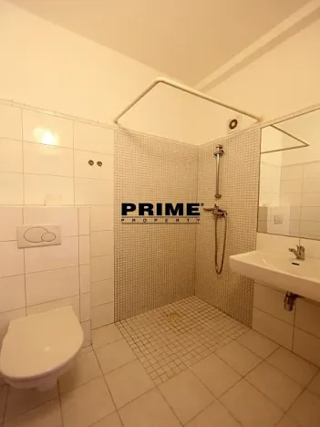 Pronájem bytu 6+kk a větší, Praha - Braník, Psohlavců, 293 m2