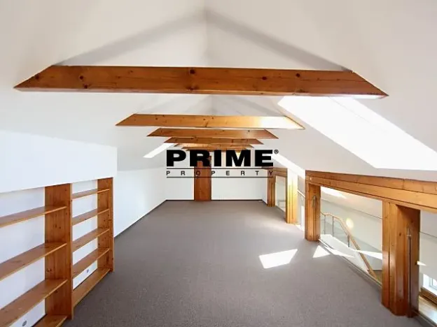 Pronájem bytu 6+kk a větší, Praha - Braník, Psohlavců, 293 m2