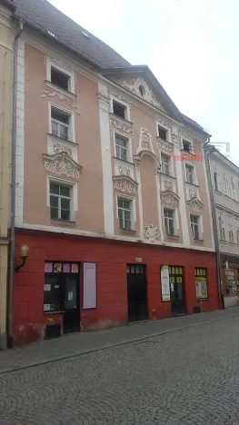 Prodej obchodního prostoru, Jihlava, Palackého, 490 m2