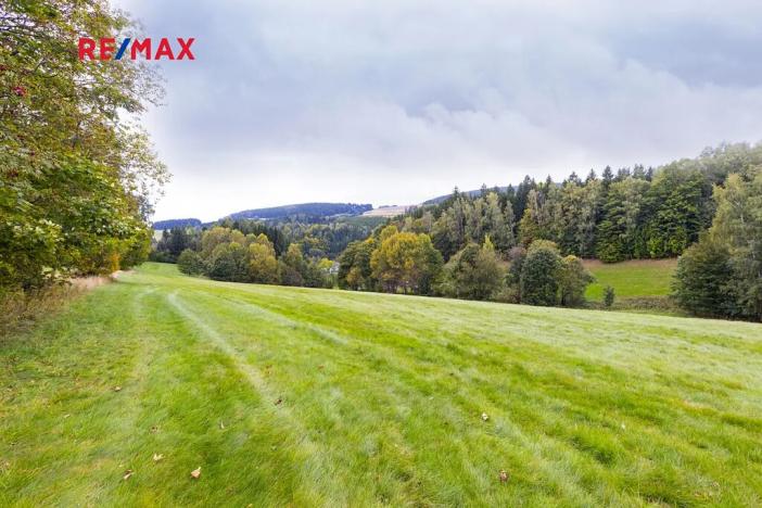 Prodej pozemku pro bydlení, Orličky, 61702 m2