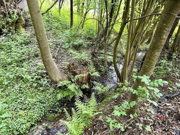 Prodej pozemku pro bydlení, Mírová pod Kozákovem, 1851 m2