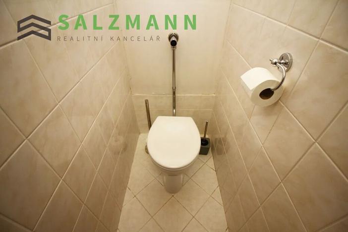 Pronájem bytu 3+1, Plzeň, Revoluční, 82 m2