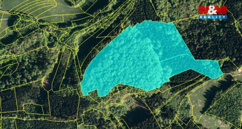 Prodej lesa, Lužná, 10226 m2